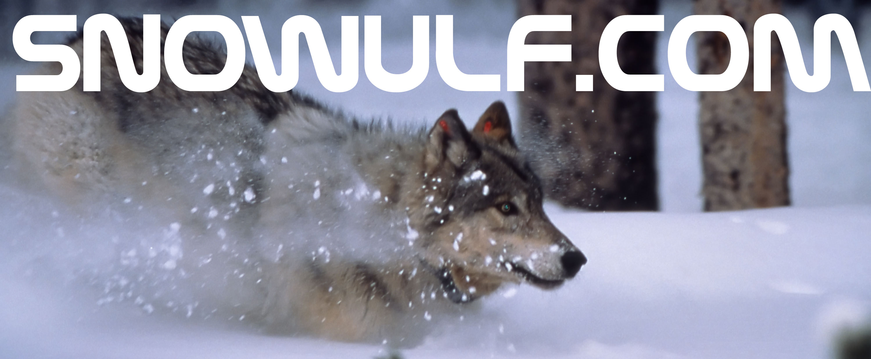 Snowulf.com Logo