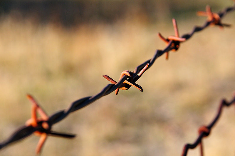 Barbed wire   \<small><a href=